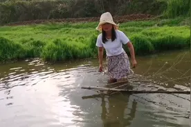 鱼塘里全是超大田螺，捞了好几斤，嘟妹陷进淤泥玩的不亦乐乎视频封面