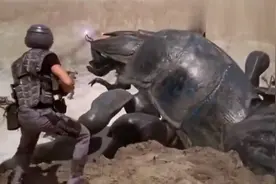 外国的蟑螂都成精了！！还好我国建国后不允许成精了