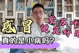 天凉经常感冒、免疫力低下总感冒？感冒不是小病，紫苏叶便宜好用视频封面