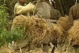 龙王与老仙师的对话视频封面