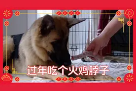 喂狗狗吃骨头：生骨头和熟骨头有什么区别？吃不当会有生命危险！