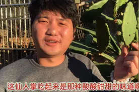 食用仙人掌你知道它有什么功效吗？快来看看，小伙子是怎么说的视频封面