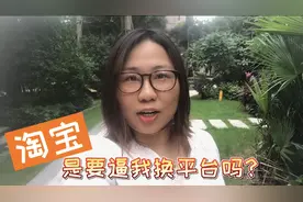 13年网购达人，告诉你淘宝“极速退款”经历，让买家不掉进坑视频封面