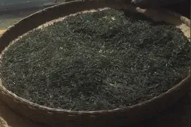 农业自动化，解放农民的双手，茶叶机械化制作全流程视频封面