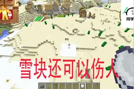 我的世界 雪块不但可以打雪仗，还可以这样玩