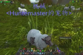 魔兽世界猎人宠物自爆绵羊宠物抓捕位置！
