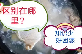 琵琶腿和鸡大腿有啥区别？前者贵一块钱，好在哪？超市购了这么多