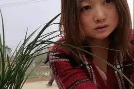 兰花叶片卷曲是什么原因以及处理办法视频封面