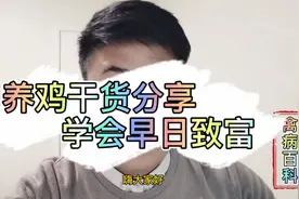 鸡羽毛蓬松，炸毛，脱毛，长势差，发病原因在这里，防治办法简单