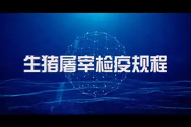 屠宰检疫规程