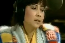 罗文、甄妮《铁血丹心》至今无人能够超越的经典