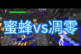 《我的世界》蜜蜂vs凋零，到底谁会赢呢？