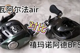 谁是微物水滴轮王者！！达瓦阿尔法air对比禧玛诺阿德bfs视频封面
