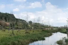广东茂名露天矿：曾是百米深的废弃矿坑，如今变成了“马尔代夫”视频封面