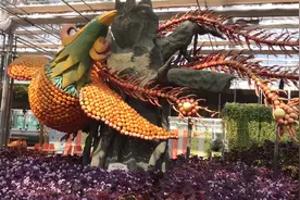 地瓜还有接到天上的，北方还能种香蕉、菠萝、火龙果，无土栽培！视频封面