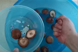 香菇！清洗，处理好方法！简单又实用！动动手干净又卫生！值得看视频封面