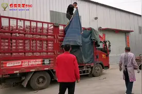 拉的百威啤酒卸车时破损，司机应不应该买单，看装卸工说的公平吗视频封面