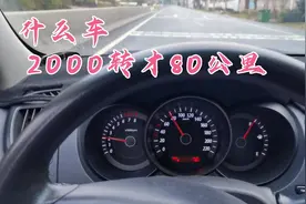 1.6自然吸气  油耗100公里6升的福瑞迪老车  你们看香不香视频封面