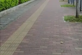 曾经的华强北手机王子陈金陵，从亿万富翁沦落到街头疯子令人唏嘘视频封面