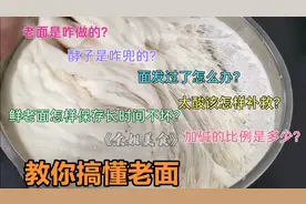 带你搞懂老面，老面头，酒糟酵子，面发过了教你补救，加碱的比例视频封面