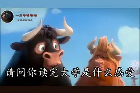 《脑筋急转弯》你读完大学后，心态肯定不一样了，有什么感受呢？视频封面