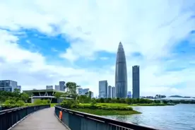 深圳湾情歌视频封面