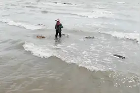 渔民涨潮时拿竹笼放海里，还以为是抓鱼，没想到是因为里面有螃蟹