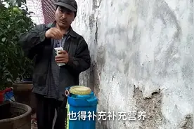 奇怪，农村胡子哥竟然给番茄喂牛奶喝，真是醉了视频封面