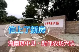 海南琼中县新伟农场六队，住上新房过新年，不错的连队视频封面