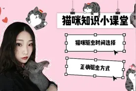 还不知道怎么在家给猫咪正确驱虫？两分钟教会你驱虫小妙招！视频封面