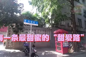 上海一条最甜蜜的“甜爱路”视频封面