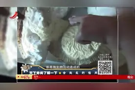 “太岁”之谜：太岁又名肉灵芝，能治病，原理竟是如此