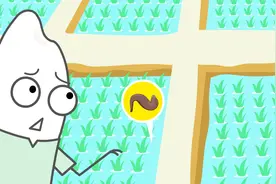 被蚂蟥咬了怎么办？