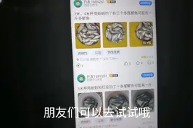 用这个方法可以让你找到更多钓点，有了更多选择 ，不愁无鱼可钓视频封面