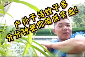 足够多蚊子能把人吸成贫血吗？