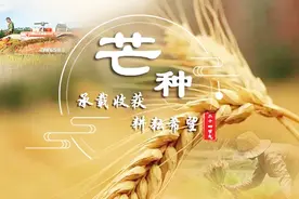 二十四节气“芒种”是啥？气候又会如何,古人的经验真的准吗？视频封面