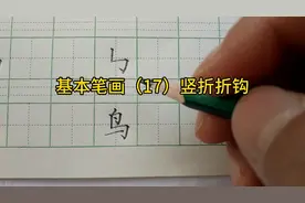 你知道“鸟”头和“鸟”身体的比例吗？掌握这一点，轻松学写字