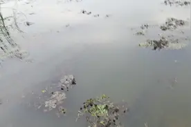 飞机3分钟来一个，一天能来几个？😜视频封面