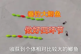 野钓大鲫鱼难吗？只要做好这四个细节，上钩的鱼肯定比别人大又多