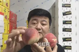 你买的真是水蜜桃么？告诉你如何快速分辨水蜜桃与假视频封面