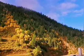 玩遍整个四川西部，贯川317，318国道。美景无数！有人这样走过吗视频封面