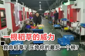 兴盛到衰败，都是平日的积累，无需多言，静静看着，或许有所感触视频封面