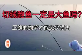 抛满杆才是跑鱼切线的真正原因，正确的操作才能减少损失视频封面