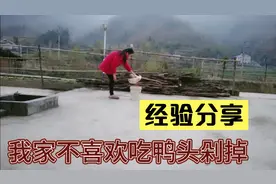 鸭子怎么烫拔毛快，农村媳妇教你一招简单，你想学吗？