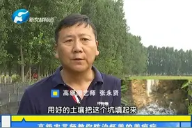 高级农艺师教你防治怀姜的姜瘟病视频封面