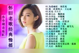 怀旧经典老歌DJ慢摇