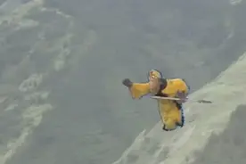 悟空不敌多目怪，被金光射到水里视频封面