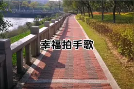 玄凤鹦鹉口哨教材，《幸福拍手歌》单曲循环视频封面