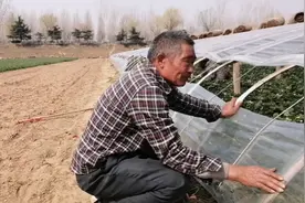 农村大叔种草莓三十年，七分地十个月挣三万，新型销售方式不愁卖视频封面