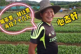 航拍深圳农场，大叔花十几万承包土地种菜，他说亏钱也要笑着干视频封面